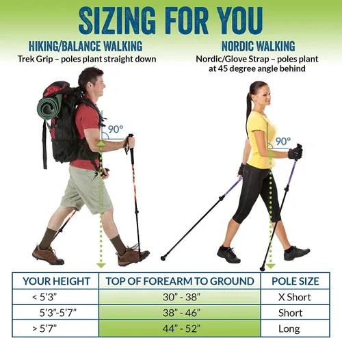 Miniatura 3 de York Nordic Bastones plegables ultraligeros para caminar, listos para viajar, con patas de goma, cestas y bolsa