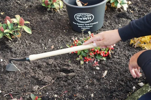 Miniatura 5 de DeWit Drop Grip Hand Arado – Herramienta de jardín holandés, mango de madera de fresno, agarre de doble bombilla, 22.4 pulgadas de longitud, mini