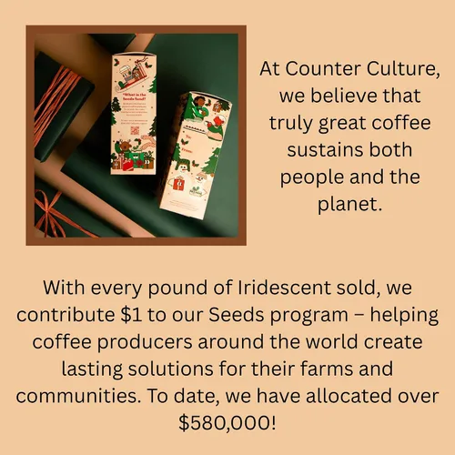 Miniatura 5 de Counter Culture Coffee Mezcla de café navideño iridiscente, tostado medio ligero, cultivado sosteniblemente, Kosher, café de grano entero, 12 onzas