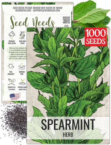 Miniatura 9 de Seed Needs, Semillas de menta – 1000 semillas tradicionales para plantar Mentha piperita – Hierba medicinal/culinaria, sin OMG y sin tratar – Ideal