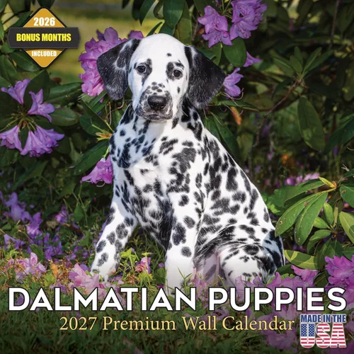 Miniatura 43 de Calendario 2025 2026 de cachorros Cocker Spaniel - Calendario mensual de pared de raza de perro - 12" x 24" abierto - Papel grueso sin sangrado