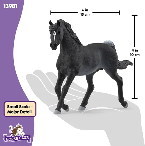 Miniatura 6 de Schleich Horse Club - Figura de semental árabe Rabicano - Figuras de poni para niñas y niños - Juguetes para niños a partir de 5 años