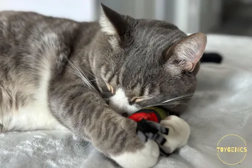 Miniatura 7 de Doobie - Juguetes de hierba gatera para gatos, suaves, resistentes a las mordeduras, con forma larga para patadas y aliviar el estrés