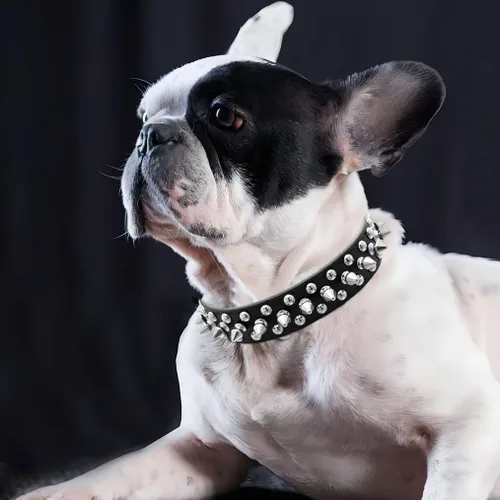 Miniatura 2 de Spike - Juego de collar y correa para perro, de piel sintética sintética con tachuelas, con remaches de metal suave y duradero, collares para gatos