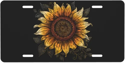 Miniatura 10 de Placa de matrícula retro Daisy, placa de matrícula delantera decorativa para el auto, placas de matrícula novedosas de aluminio, etiqueta de a-5