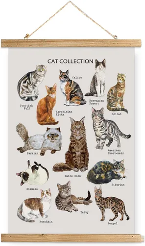 Miniatura 24 de XIAOAIKA Póster Educativo de Vida Silvestre de Seto Británico - Cuadro Ilustrado de la Naturaleza con Marco de Madera - Arte de Pared de Animales