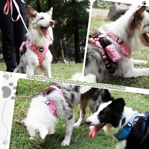 Miniatura 6 de QQPETS Arnés para perro con correa y soporte para bolsa de excrementos, juego de 4 piezas, ajustable sin tirones, chaleco acolchado de malla suave
