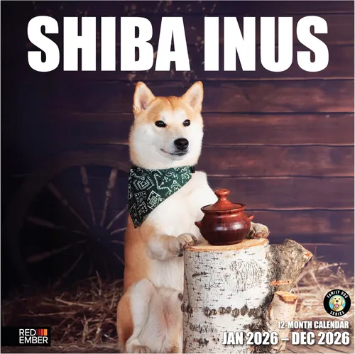 RED EMBER Shiba Inus - Calendario de pared 2026 de 12 meses | 12 x 24 pulgadas abierto | Papel grueso y resistente | Regalo de vacaciones | Lindo