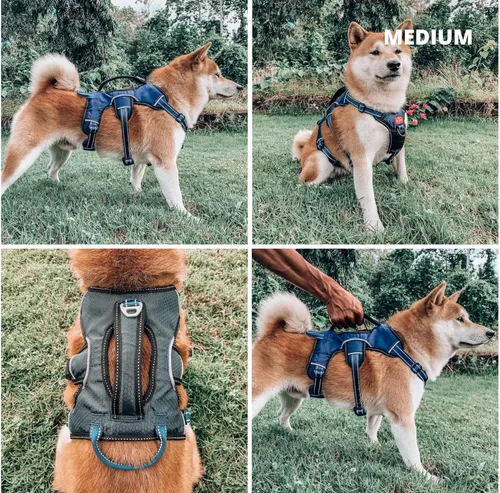 Miniatura 3 de Arnés para perros a prueba de escape sin escape de Tuff Pupper Arnés ajustable de 5 puntos para perros Arnés para perros acolchado Arnés