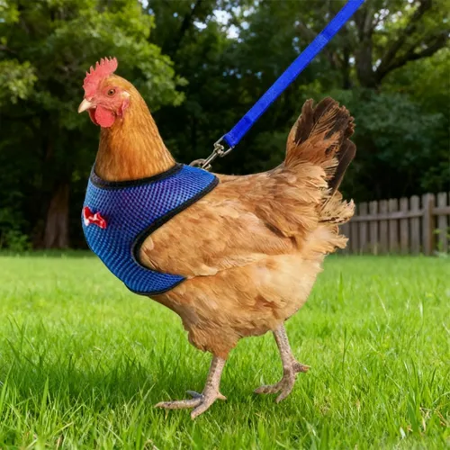 Miniatura 2 de Juego de arnés y correa para pollo, malla ajustable, transpirable, arnés de entrenamiento de pato, correas para mascotas, correas para ganso, Azul