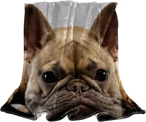 Adorable manta de franela con fotos de Bulldog Francés, color marrón, ultra suave, acogedora, manta de felpa para sofá, silla, sala de estar, aire