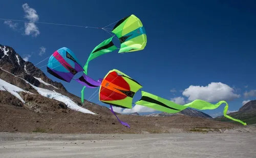 Miniatura 7 de Prism Bora - Cometa de parafoil de una sola línea Blaze