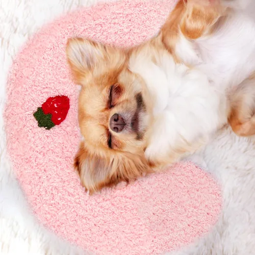 Miniatura 9 de Almohada para Perros Mity Rain, Almohada de Alivio de la Ansiedad para Perros, Almohada Ultra Suave de Alta Densidad Calmante para Alivio de Azul