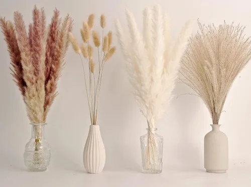 Miniatura 12 de Decoración de hierba de pampa seca natural, 100 piezas de hierba de pampa que contiene colas de conejo blancas flores secas, ramo de hierba de caña