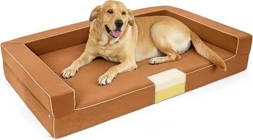 Cama ortopédica grande para perros – Cama para mascotas de espuma viscoelástica sólida de 5 pulgadas para alivio de la artritis y displasia de Mocca