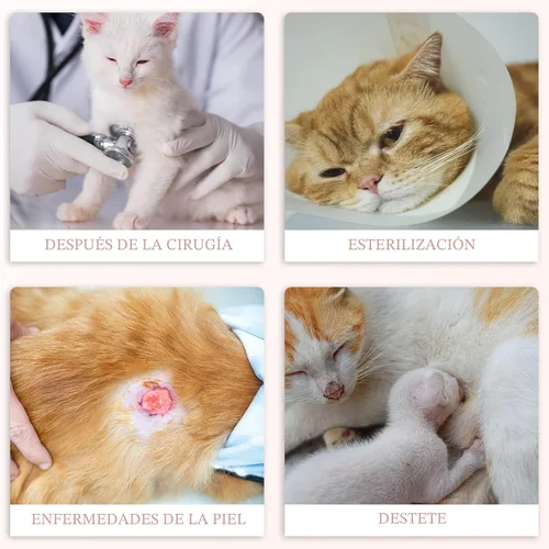 Miniatura 6 de ANWA Traje de recuperación de gato, mameluco transpirable para gato después de la cirugía, traje de recuperación de cirugía de gatito, heridas Alpaca