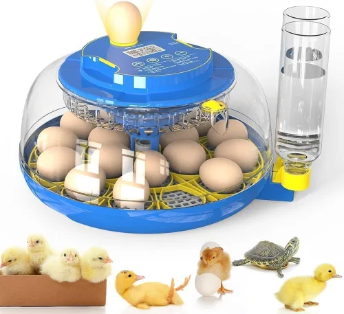Miniatura 18 de Incubadora de 24 huevos para eclosión con volteador automático, control inteligente de temperatura y humedad, visualización de 360°, ovoscopio