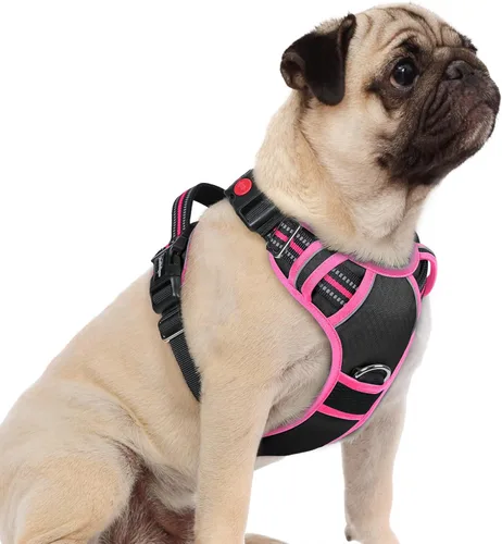 Miniatura 26 de rabbitgoo Arnés para perro de tamaño pequeño, chaleco para perro sin tirones con 3 hebillas, arnés ajustable y acolchado suave para mascotas con asa
