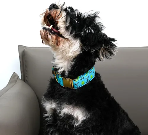 Miniatura 2 de Collar para perro Lionet Paws, cómodo y ajustable, collar lindo con hebilla de metal para perros machos y hembras, patrón de pelota de tenis, Tennis