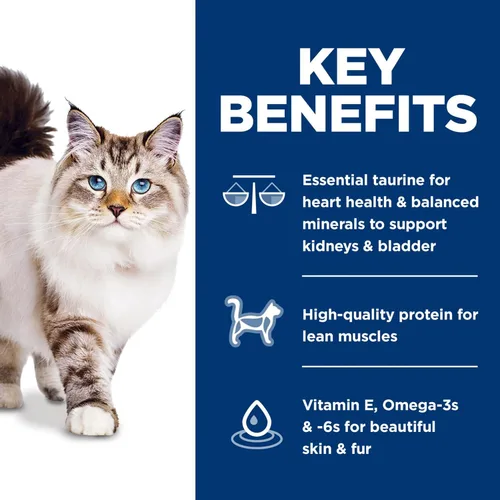 Miniatura 4 de Hill's Science Diet - Comida seca para gatos adultos 1-6, nutrición premium, sin maíz, trigo ni soya, sabor pollo y arroz integral, bolsa de 3.5