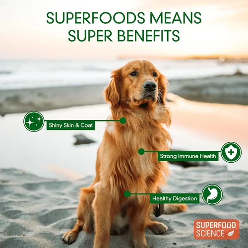 Miniatura 6 de Golosinas hipoalergénicas saludables para perros: aperitivos vegetarianos a base de plantas para perros con algas marinas, batata, chía, linaza