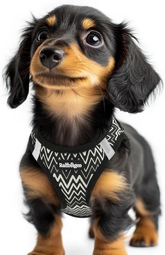 Miniatura 136 de rabbitgoo Arnés para perro pequeño, chaleco de malla suave para cachorros con hebilla de seguridad, arnés reflectante transpirable para mascotas