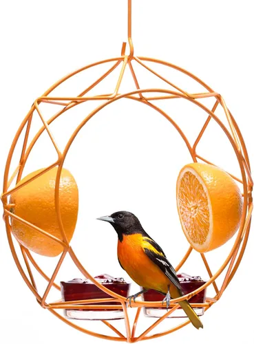 Miniatura 8 de MEKKAPRO Sun Baltimore - Comedero para oropéndolas para exteriores, comedero de metal para gelatina y naranja, diseño único de sol y comedero
