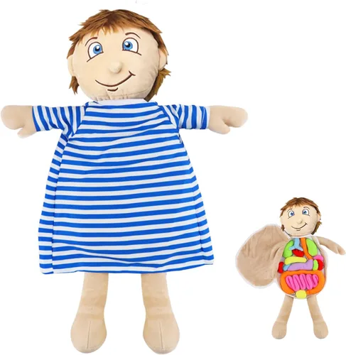 vocheer Juguete de anatomía del cuerpo humano, juguetes de peluche de órgano educativo Montessori preescolar para niños, kits de aprendizaje de