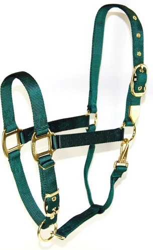 Miniatura 15 de Hamilton, Halter de 1 pulgada con barbilla ajustable, azul baya, 800-1100 libras