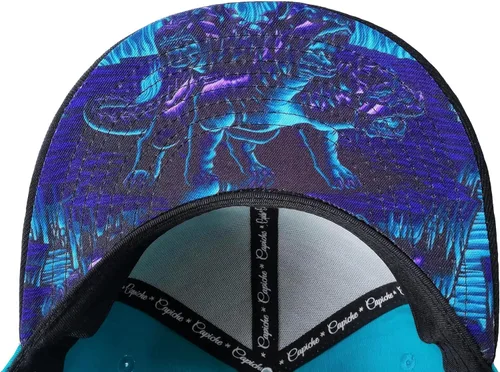 Miniatura 6 de Capiche - Gorra de visera plana de serie especial, talla única, unisex, hombre, más de 99 diseños
