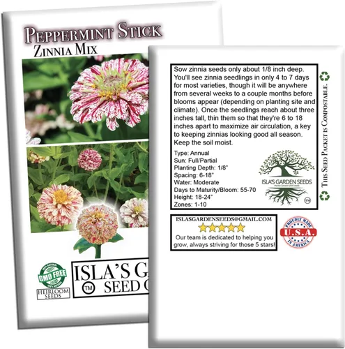 Miniatura 7 de Semillas de zinnia "Peppermint Stick" para plantar, más de 100 semillas de flores por paquete, semillas de jardín de Isla
