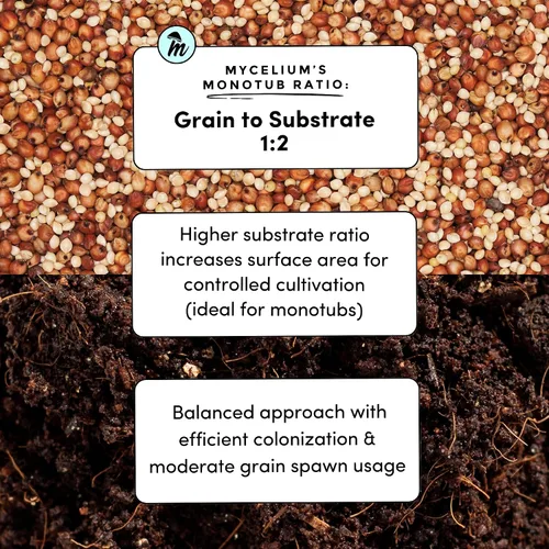 Miniatura 4 de Mycelium Kit de cultivo de hongos Plus I Sustrato CVG (fibra de coco, vermiculita, yeso) Mezcla patentada para cultivo de alto rendimiento, bolsa