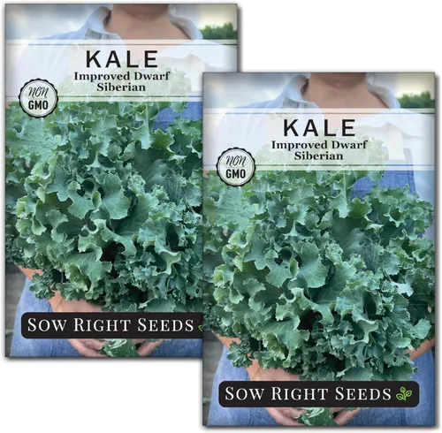 Miniatura 8 de Sow Right Seeds - Semilla de col rizada mejorada siberiana enana para plantar - Paquete de reliquia sin OMG con instrucciones para plantar un huerto