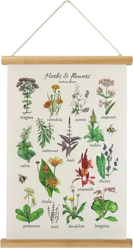 Miniatura 12 de XIAOAIKA Póster de hierbas aromáticas para pared, impresiones artísticas HD vibrantes y coloridas, estilo rústico de hierbas, póster para colgar