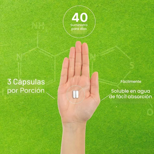 Miniatura 5 de Citicolina CDP Colina, 1,000mg por porción, 120 cápsulas – Suplementos de colina de fuerza extra – Propiedades de vitamina B nootrópica – Promueve