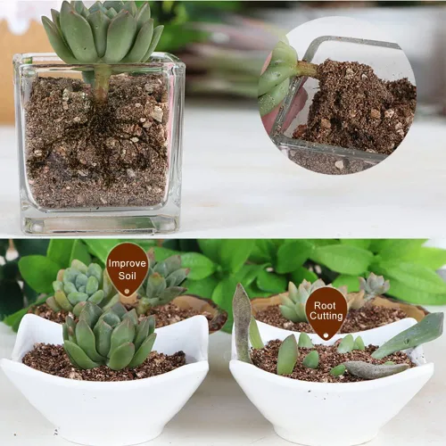 Miniatura 3 de Vermiculita orgánica 1 qt de Doter, aumenta la retención de agua y nutrientes y airea el suelo, perfecta para esquejes de raíces, germinación