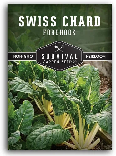 Fordhook - Semillas de acelga gigante para plantar, acelga verde reliquia con tallos blancos, cultivo de clima fresco o cálido para jardines