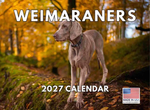 Miniatura 101 de Calendario de pared mensual 2025 Great Dane de 12 meses, fabricado en Estados Unidos