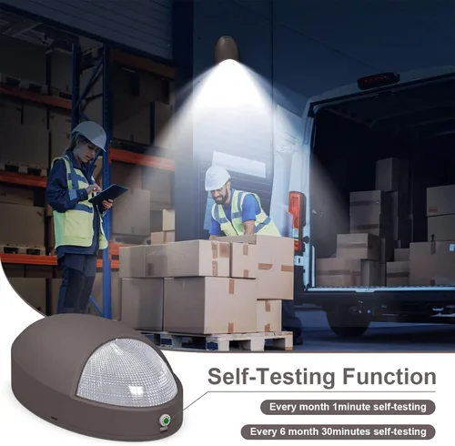 Miniatura 4 de Luz de emergencia LED para exteriores con sensor de fotocélula de reserva de batería, diagnóstico de autoprueba, paquete de pared comercial Marrón