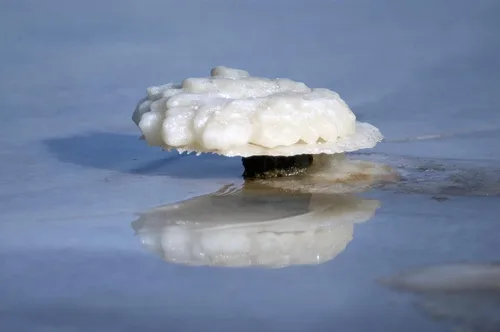 Miniatura 6 de Sales del Mar Muerto para remojar, sal mineral para baño, spa, ducha: más minerales que la sal de Epsom, sal de baño pura y natural para remojo