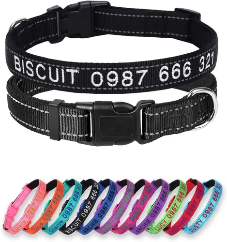 Collar acolchado para perro, collar personalizado de neopreno suave para mascotas, nombre y número de teléfono bordado personalizado para mascotas,
