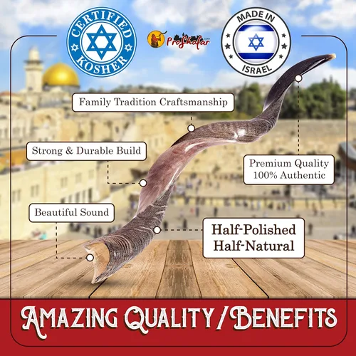 Miniatura 5 de Juego de Shofar Kudu Kosher medio pulido de Israel, más bolsa, certificado kosher firmado oficialmente, cuerno de shofar hecho en Israel