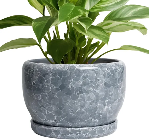 Miniatura 77 de SQOWL Macetas de cerámica – Maceta de 6 pulgadas con orificio de drenaje y bandeja, maceta redonda para plantas de interior, maceta decorativa