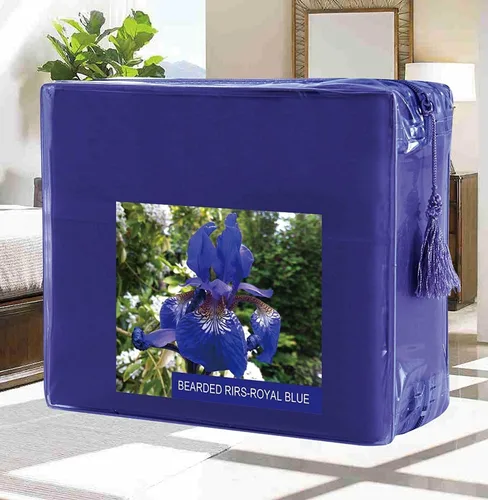 Miniatura 27 de Juego de ropa de cama Elegant Comfort, de 3 piezas, elegante, no se arruga, 1500 hilos egipcios