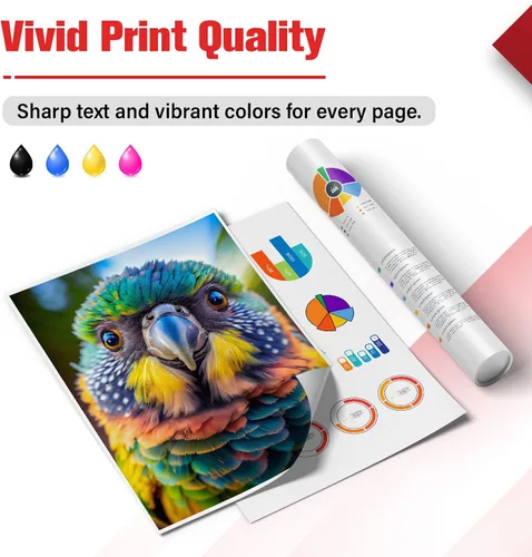 Miniatura 4 de Paquete combinado de tinta 245XL 246XL 245 y 246 para impresora Canon MG2522 MX490 Reemplazo para Canon Pixma MX492 TS3322 TR4520 TR4500 TS3122