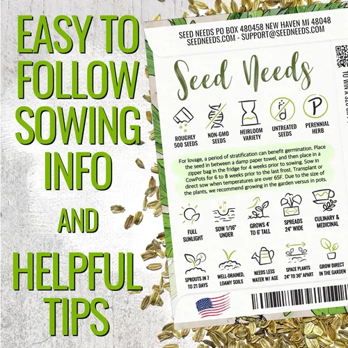 Miniatura 4 de Seed Needs Semillas de apio para plantar hierbas culinarias tradicionales sin OMG, 2 paquetes
