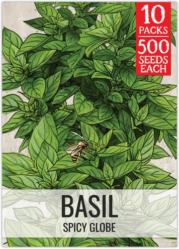 Miniatura 38 de Seed Needs Semillas de albahaca para plantar hierbas de albahaca tailandesa, sin OMG y semillas de hierbas sin tratar para cultivar un jardín