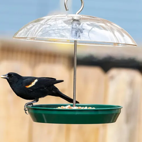 Miniatura 8 de Comedero para pájaros Kingsyard ajustable para colgar al aire libre, comedero de bandeja de metal con parte superior abombada, atrae pájaros azules