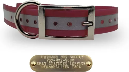 Miniatura 13 de Outdoor Dog Supply Collar de perro con anillo en D impermeable reflectante resistente de 1 pulgada para perros medianos y grandes con placa