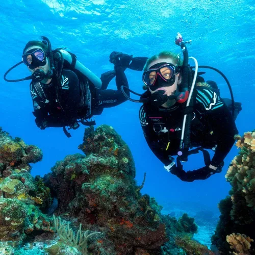 Miniatura 3 de TUSA SP-0101 Hyperdry Elite II - Tubo de snorkel para buceo Scuba